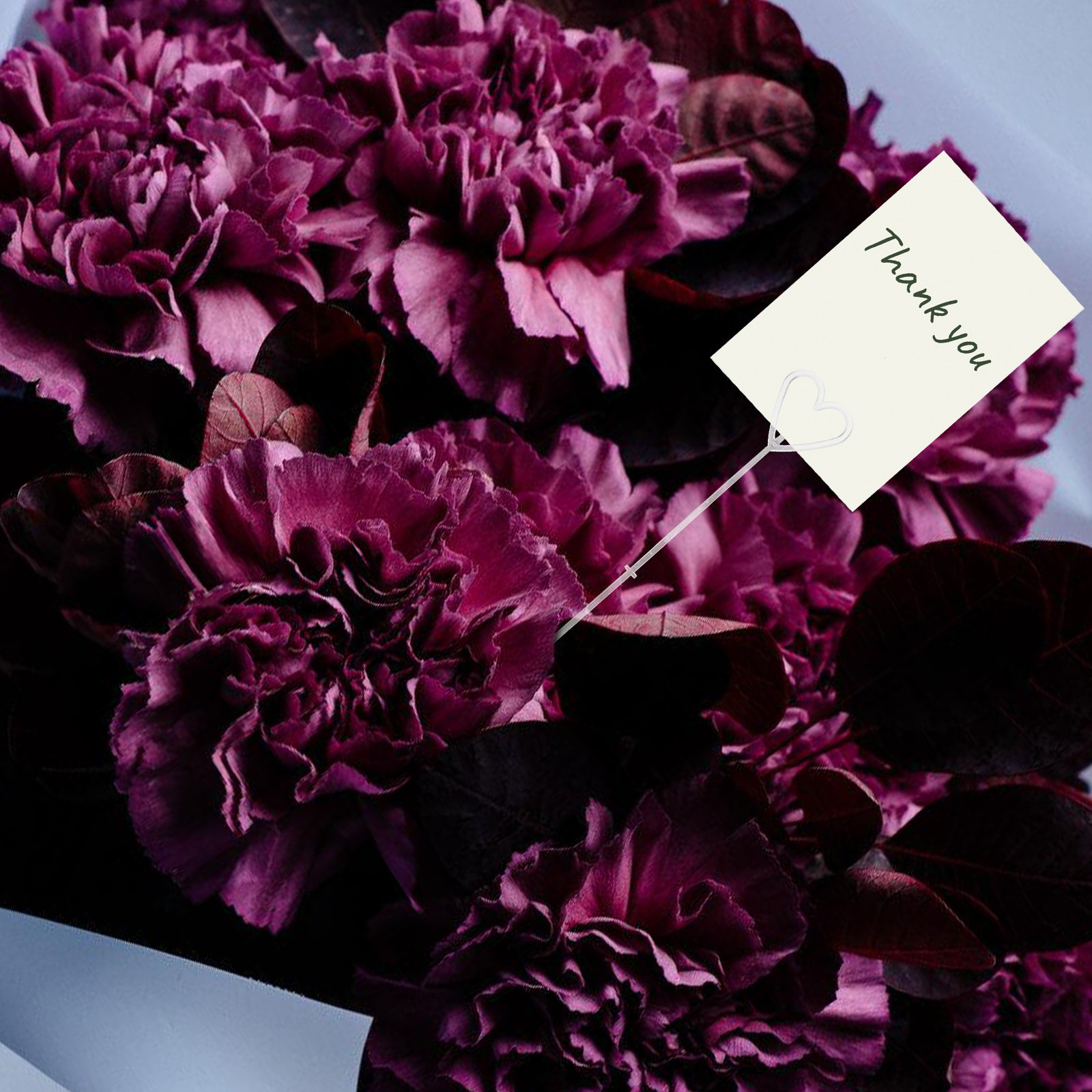 80 szt. przezroczystych plasti – Wedding Decoration Supply recenzja i cena